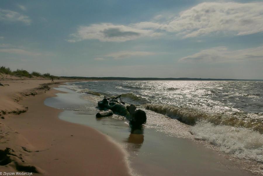 Dworek Bursztynowe Piaski Gdańsk Exteriör bild